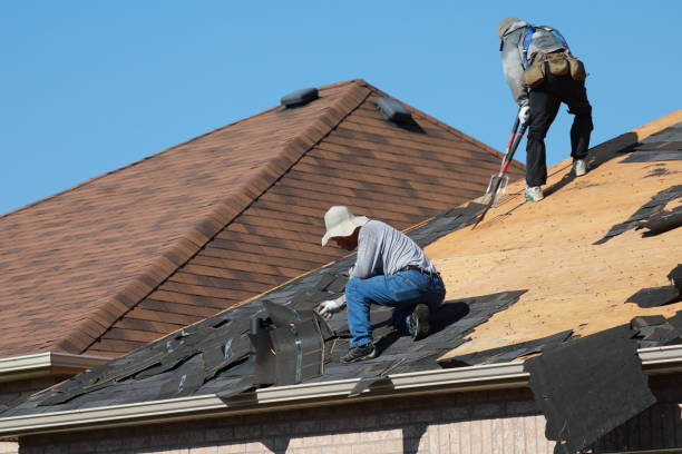 Best Roof Moss and Algae Removal  in Lima, OH